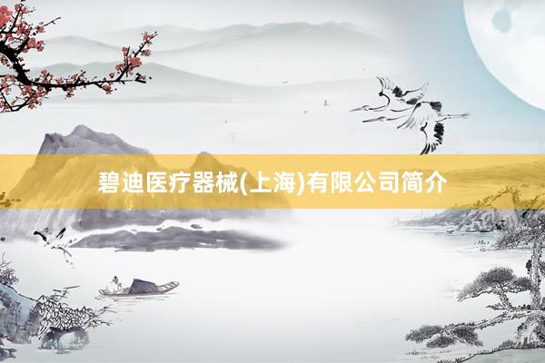 碧迪医疗器械(上海)有限公司简介