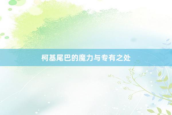 柯基尾巴的魔力与专有之处