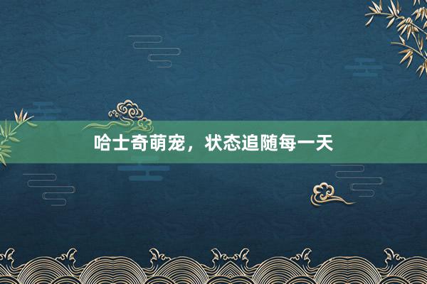 哈士奇萌宠，状态追随每一天